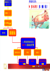 低成本高效益养猪的技巧