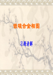 习题讲解-IV(铁碳合金相图)