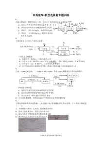 中考化学-新型选择题