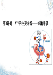 2015-2016学年高中生物 第5章 第3节 ATP的主要来源-细胞呼吸课件 新人教版必修1