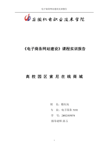电子商务网站实训报告