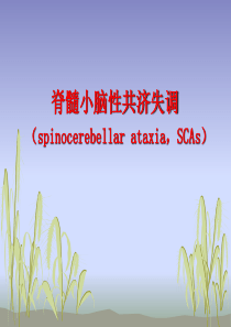 脊髓小脑性共济失调