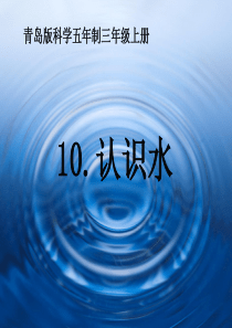 认识水(课件)