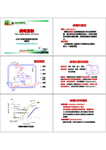 病毒复制