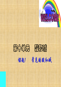 人教版九年级化学下册课件++第十单元