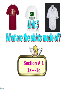 5-2016学年人教版新目标九年级上册英语Unit-5-What-are-the-shirts-ma