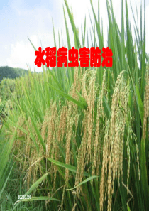 水稻病虫害防治