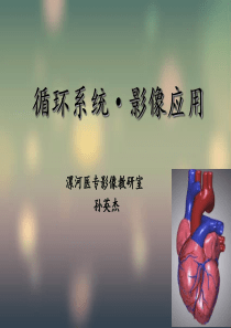 循环系统·影像学检查方法共63页