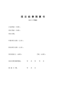 项目经费预算书