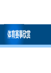 《体育赛事欣赏》