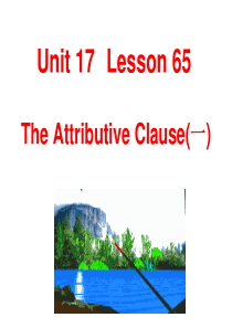 中考英语定语从句2