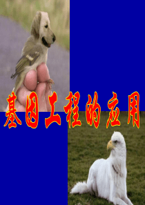 1.3基因工程的应用