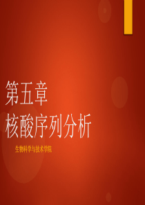 生物信息学-第五章-核酸序列分析