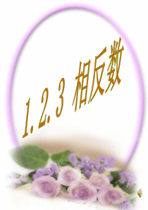 1.2.3 相反数 课件1--