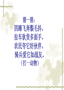 2013年最新初中语文精品教学课件：人教版语文七下《马》