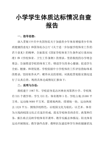 小学学生体质达标情况自查报告