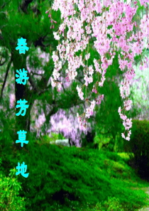 《济南的冬天》ppt