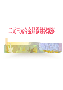 二元三元合金显微组织观察