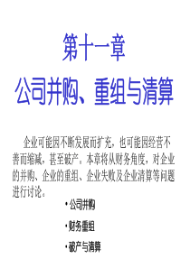 公司并购重组与清算(ppt30)