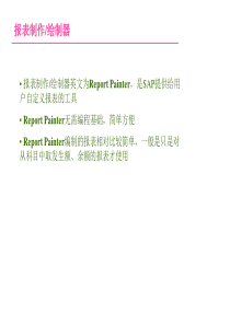 SAP-Report-Painter报表制作权威教程