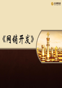 网销流程