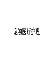 宠物医疗护理