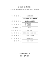 创新项目申报书