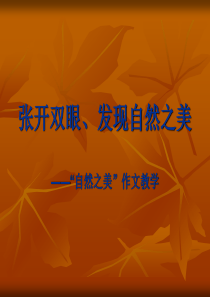 四年级语文上册写景作文教学课件