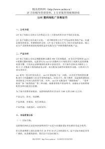LSY数码相机广告策划书
