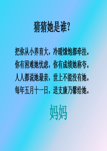 24卡罗纳ppt课件