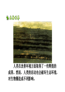 分析人类活动破坏生态环境的实例-课件
