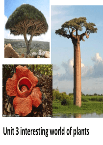Unit-3the-interesting-world-of-plants