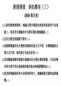 阶段排查 回扣落实(三)