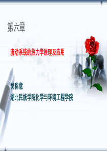 第六章流动系统的热力学原理及应用