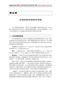 公司并购中的财务问题（DOC31页）