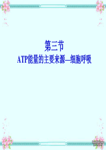 ATP的主要来源呼吸作用第二课时