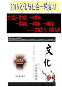 2017届高考一轮复习必修三文化生活第一课文化与社会剖析
