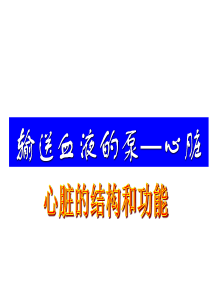 输送血液的泵——心脏完整版