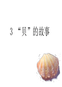 人教部编二年级语文下册-3贝的故事-授课课件