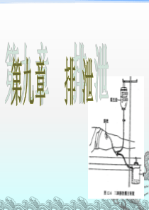 排泄护理ppt课件