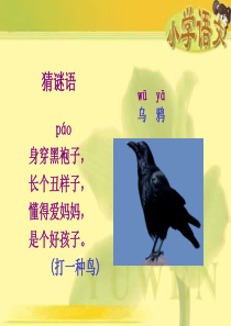 18.乌鸦喝水