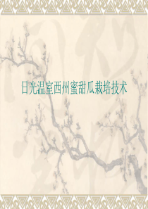 厚皮甜瓜栽培技术