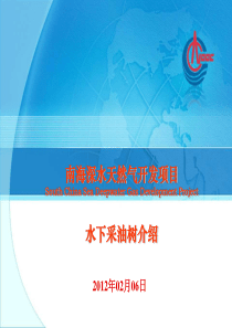 水下采油树介绍12.02.06