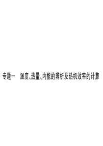 2019届沪科版九年级物理全册习题课件：专题一-