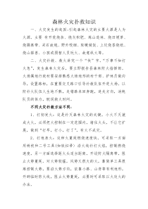 森林火灾扑救知识