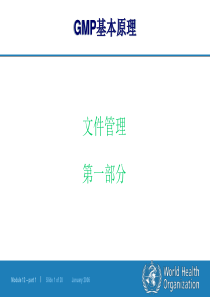 GMP文件管理(中国培训ppt)