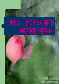 第七章社会主义初级阶段的经济制度和经济体制(张雷声主编-自考代码00009)