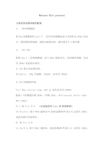 Western-Blot-protocol实验步骤