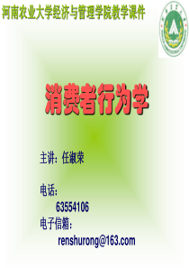 第9章影响消费者的文化与经济因素