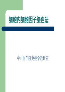 细胞内细胞因子染色法07